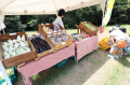 【東京・町田】みどりの魅力にふれて楽しむイベントマ