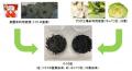 カゴメとキユーピーが未利用野菜資源のバイオ炭化で共