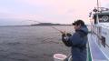 【THEフィッシング】近海で狙える高級魚！ 南房総のシ