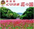【現役運転士企画】京急線に乗ってくりはま花のutf-8