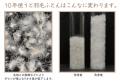 【昭和西川】阪神百貨店7階にて、「羽毛リフォームキ