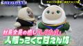 【5/14（水）開催｜参加無料】「見られる映像」の秘訣