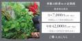 【旬の無農薬野菜＆ハーブをお届け】エルビュー株式会