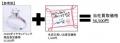 【おもしろ想い出査定・第3弾】GWを楽しみ過ぎちゃっ