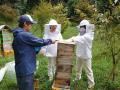 唐津南高校×地域住民が挑む『唐津ミツバチプロジェク