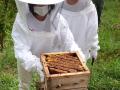 唐津南高校×地域住民が挑む『唐津ミツバチプロジェク