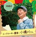 “地産全消”で地域の美味しさを全国に　季節限定「野菜
