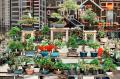 関西最大級の植物販売イベント『第5回天下一植物界 in