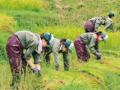 神奈川県・相模女子大学の学生が三重県熊野市でutf-8