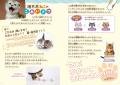 超刺激的な109問！『ねこがつくった理不尽なぞなぞ』2