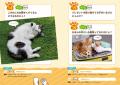 超刺激的な109問！『ねこがつくった理不尽なぞなぞ』2
