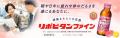 ～母の日応援「“働くお母さんの疲労”実態調査」utf-8