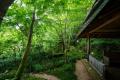 【旅亭 半水盧】初夏を楽しむ、静寂の贅沢。期間限定