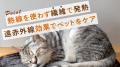 熱線のない遠赤外線との相乗効果で健康管理。ペット用
