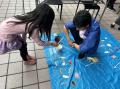 学生の発想でSDGs企画を実施　「千葉大学×京葉銀行eco