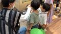 家族で楽しいイベントが盛りだくさん！この夏にぴった