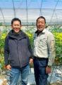 野菜高騰でも“おいしさ”で選ばれるミニトマトが躍進　
