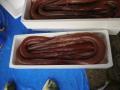 【長崎・新上五島町】全国から海外から集まった原画を