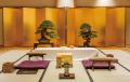 【EXPO2025日本盆栽・水石展】（5/19～5/22）前回の大
