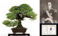 【EXPO2025日本盆栽・水石展】（5/19～5/22）前回の大
