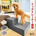 「愛犬の日」って知ってますか？5月13日はワンちゃん