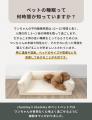 「愛犬の日」って知ってますか？5月13日はワンちゃん