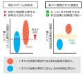 【横浜市立大学】がんのDNA修復異常を1日で検出