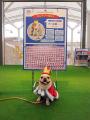 横浜で大人気ドッグフェス【GOGO DOG FES】が三井アウ