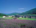 国内スキー場初、「タングラムスキーサーカス」が最高