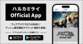 アーティストの活動をいち早くキャッチでき、電子チケ