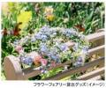 ROKKO森の音ミュージアム 夏イベント「森の音フェス20