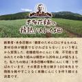 小・中学校のキャリア教育冊子「発見たんけん宮崎県」
