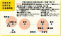 「名探偵コナン 鳥取ミステリーツアー 」の概要につい