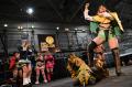 VTuber斗和キセキがプロレスラーから逃げて可愛さを検