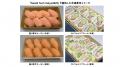 デイブレイク、SusHi Tech Tokyo 2025にて冷凍寿司を