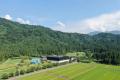 「八海山本格米焼酎 オーク樽貯蔵 風媒花」が「東京ウ