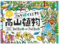 六甲高山植物園 花盛り！ 大群落の「クリンソウ」が見