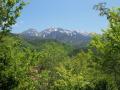 【飛騨高山・岐阜県高山市】乗鞍山麓五色ヶ原の森オー
