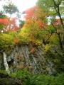 【飛騨高山・岐阜県高山市】乗鞍山麓五色ヶ原の森オー