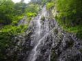【飛騨高山・岐阜県高山市】乗鞍山麓五色ヶ原の森オー