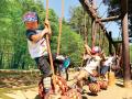 シャーレーポピーが見頃を迎えています（国営武蔵丘陵