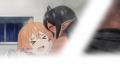 TVアニメ『ちょっとだけ愛が重いダークエルフが異世界