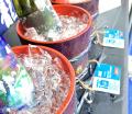 今年も7月の3連休は、愛知・岐阜の地酒で乾杯！「SAKA