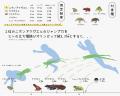 【京都水族館】6月6日「かえるの日」を記念したutf-8