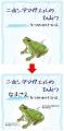 【京都水族館】6月6日「かえるの日」を記念したutf-8