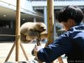 間近でのんびりごあいさつ人工保育で生後９か月を迎え