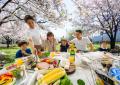 印西市：北総花の丘公園Aゾーン「BBQ DAYS」★ コカコ