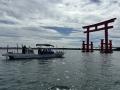 浜名湖のアサリ復活の鍵を握る海草「アマモ」見utf-8