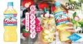 「クラフトボス 世界のＴＥＡ」シリーズから台湾産ラ