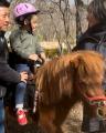 ＜愛犬がポニー乗馬体験！？＞ここでしかできなutf-8